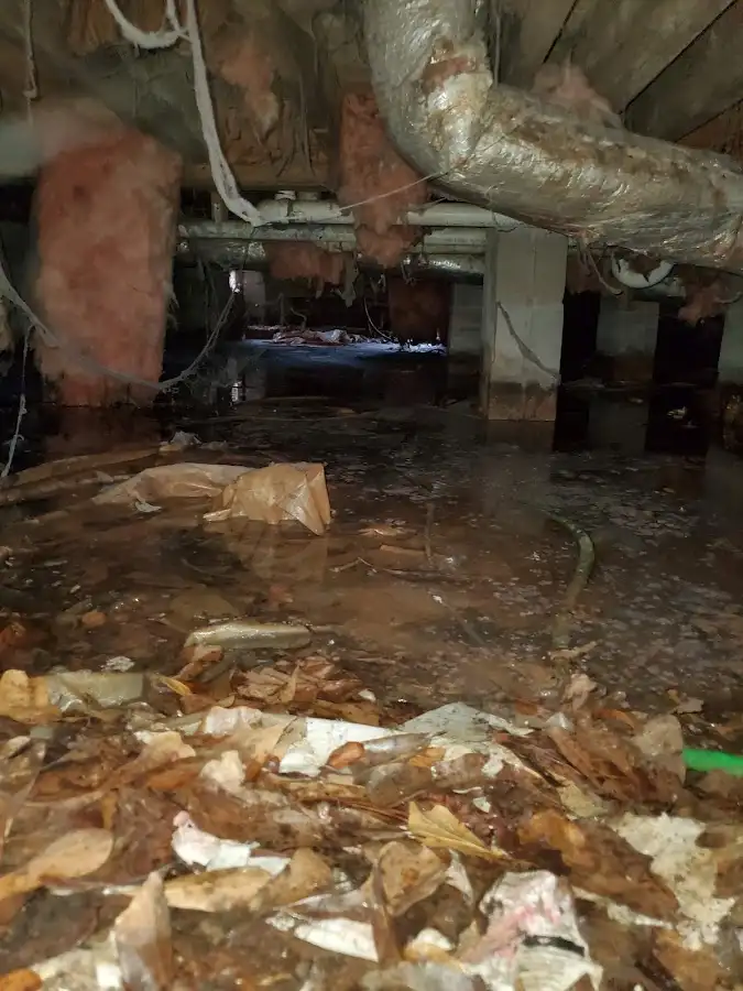 Crawl space flood assessment for Commercial Water Damage Restoration in Seal Beach
